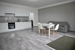 Bright and cozy apartment nr. 1